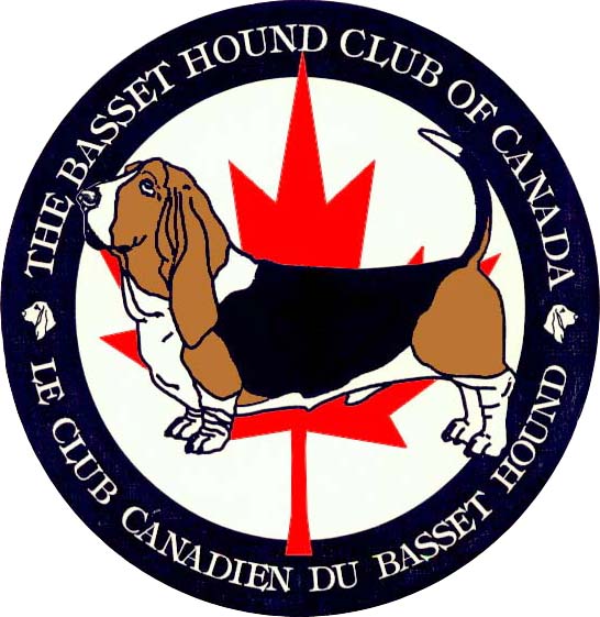 Basset club 2024