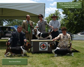 Reserve Winners Dog