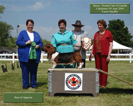 Reserve Winners Dog