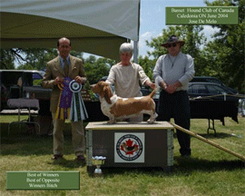 Reserve Winners Dog