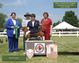 Reserve Winners Dog