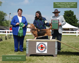 Reserve Winners Dog